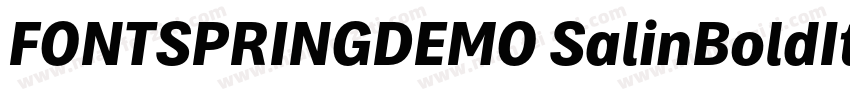 FONTSPRINGDEMO SalinBoldIt字体转换
